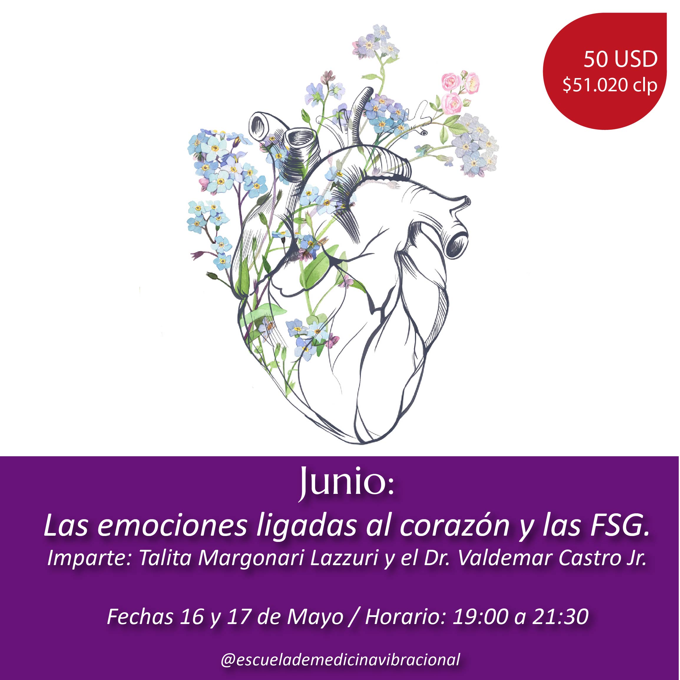 LAS EMOCIONES LIGADAS AL CORAZÓN Y LAS FSG - ONLINE
